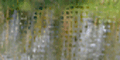 reflections4 reflections4
