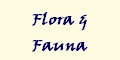 Flora &
Fauna