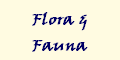 Flora &
Fauna