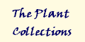 The Plant
Collections