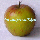 umbrian eden apple logo